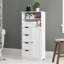 Armoire de plancher autoportante avec 4 tiroirs et 1 armoire