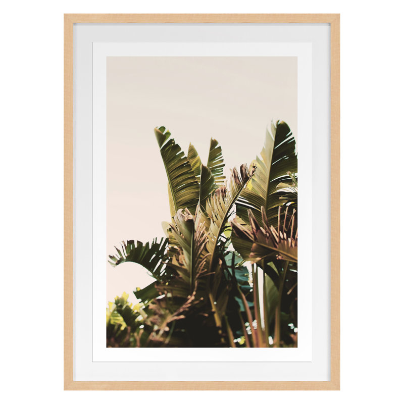 Equaltorial Print by Alicia Bock, Maple Framed, 30" H x 22" W