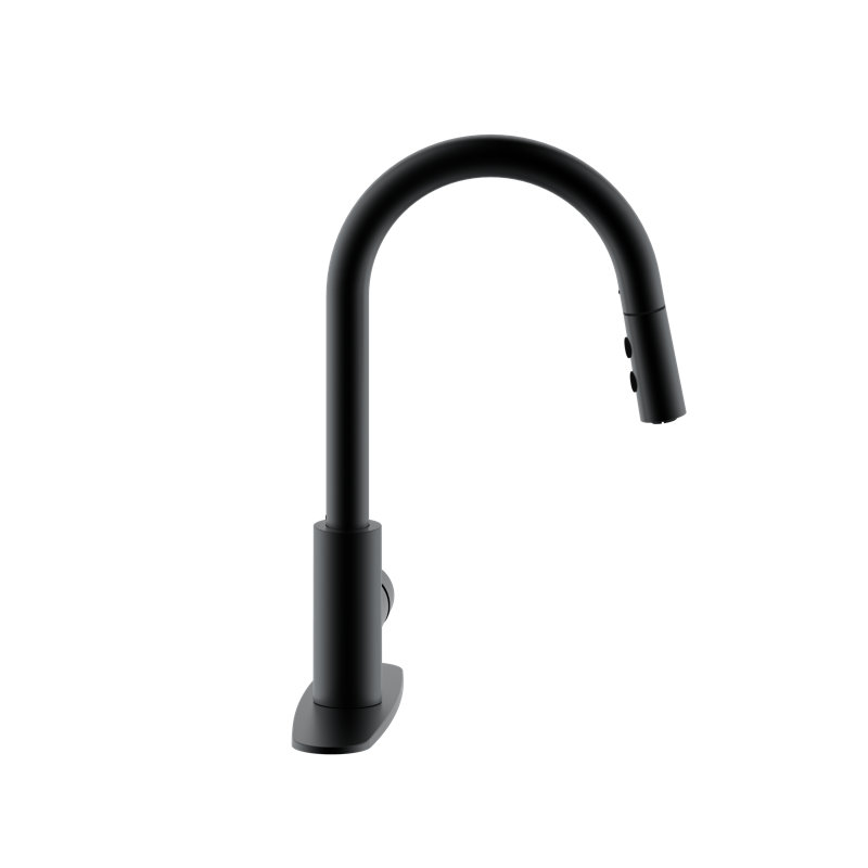 Dual Spray Push Button Mode Kitchen Faucet with Pull Down Sprayer Head, Matte Black