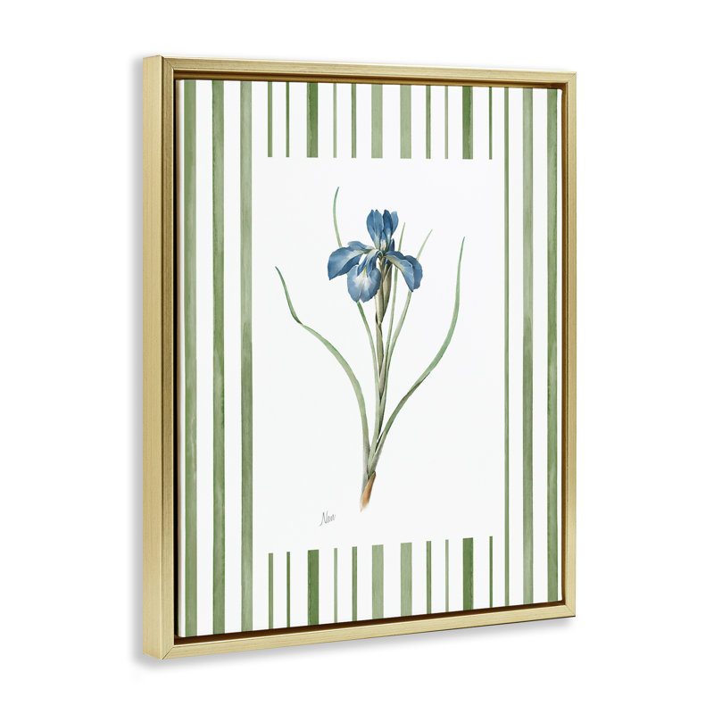 Cadre flottant Spring Iris And Stripes, design par Nan, Cadre flottant métallique doré, H 21 po x l 17 po