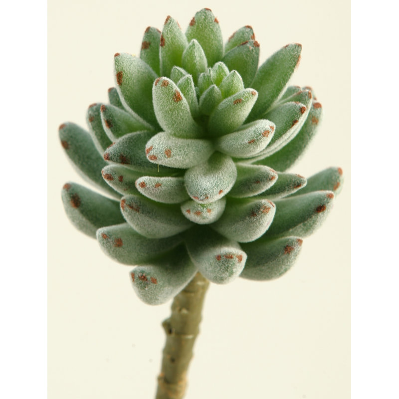7.25'' Faux Agave Stem