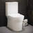 Burdon One-Piece Toilet Vortex Dual-Flush 1.1/1.6 gpf-63694527
