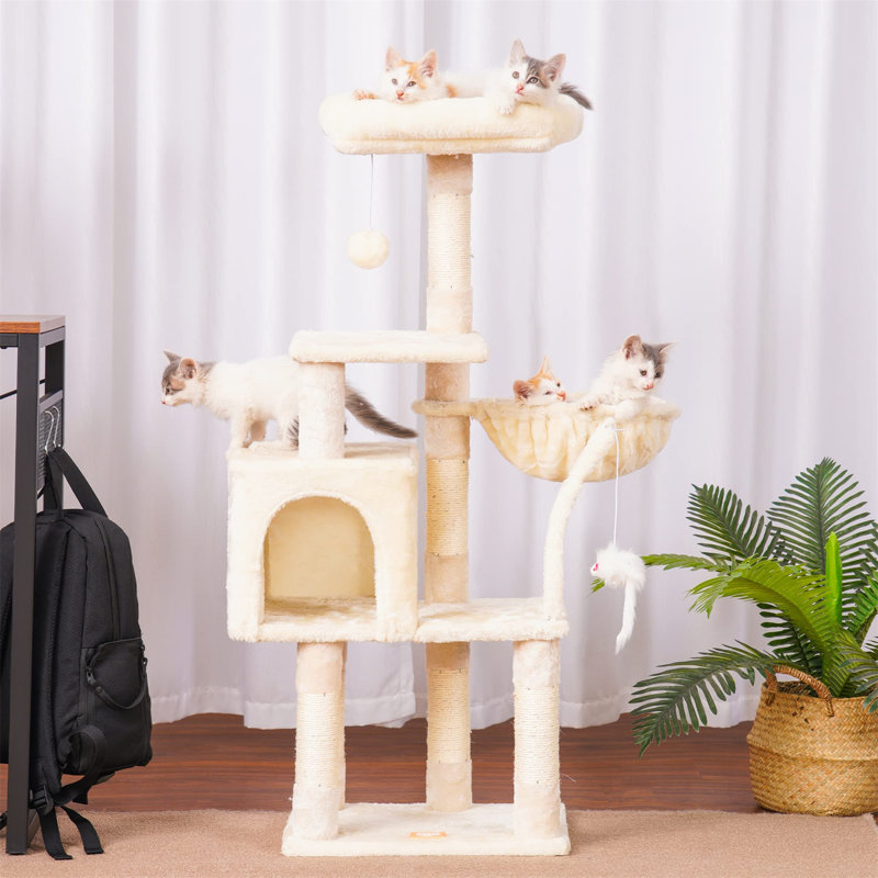 Arbre à chat Faraday, H 7,09 po x l 12,6 po x L 17,32 po, Beige