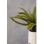 56cm Faux Fern Plant in Pot