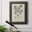 Toile encadrée botanique antique de qualité supérieure noire et blanche - prête à être accrochée-73976082