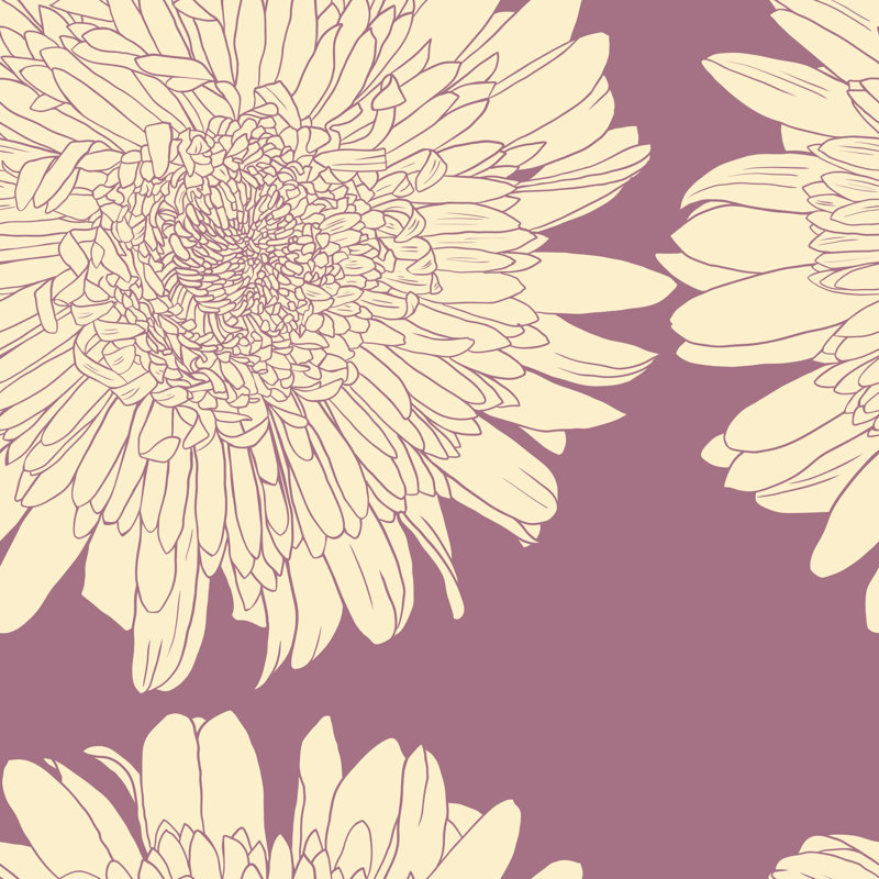 Omena Aster Illustration - Wrapped Canvas Print, 30cm H x 30cm W x 3.8cm D