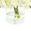 Hydrangeas in Glass Bubble Vase-612836878