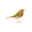Feathered Mosaic I Print by Emma Brooks-26944226