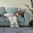 Charming Chronicles Reversible Throw Pillow-99315877-99315878