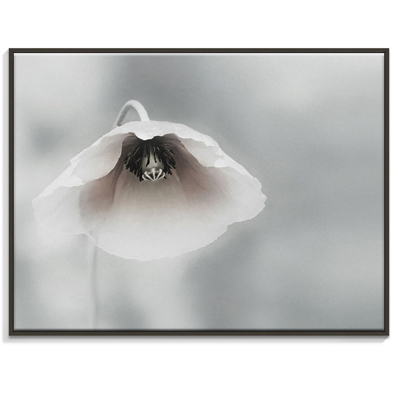 Print on Canvas, 76cm H x 102cm W, Black Floater Frame