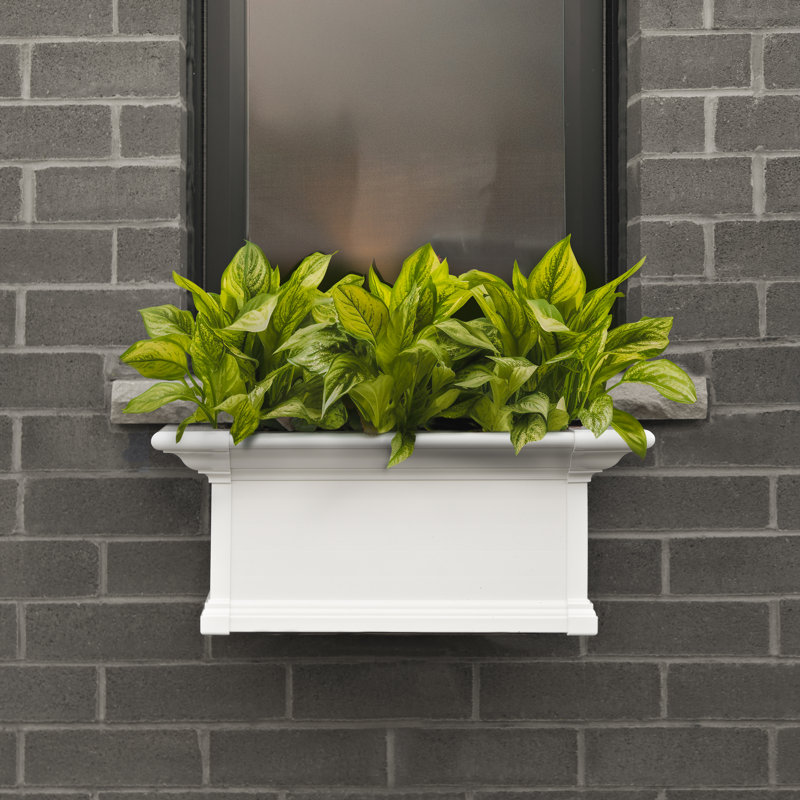Anand Resin Window Box with Water Reservoir, White, 10" H x 24" W x 12" D