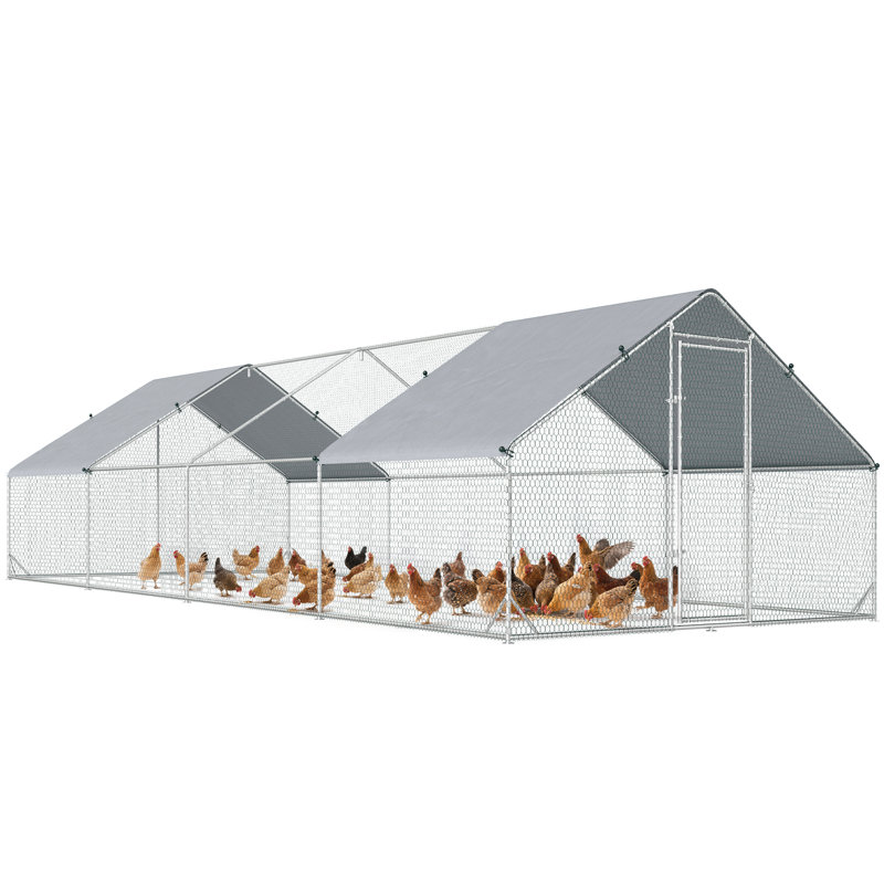 Archie & Oscar Chicken Coop | Wayfair.co.uk
