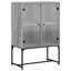 Aanvi Steel Standard Accent Cabinet-1763828317