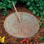 Perpetual Calendar Sundial-720724144