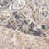 Maddyx Oriental Indoor Rug