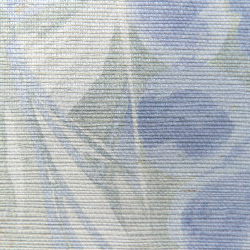 Caspia Wp - Amsonia, Amsonia