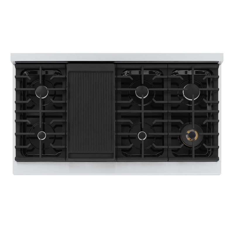 ZLINE 48 in. Paramount Gas Rangetop with 8 Burners and Porcelain Cooktop in Stainless Steel