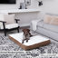 Lit pour chien avec coussin de soutien-794393521-794393528