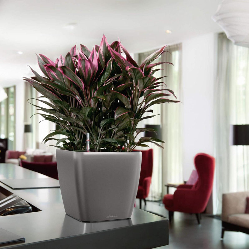 Quadro Premium Pot Planter, 33 m H x 35cm W x 35cm D, Charcoal Metallic