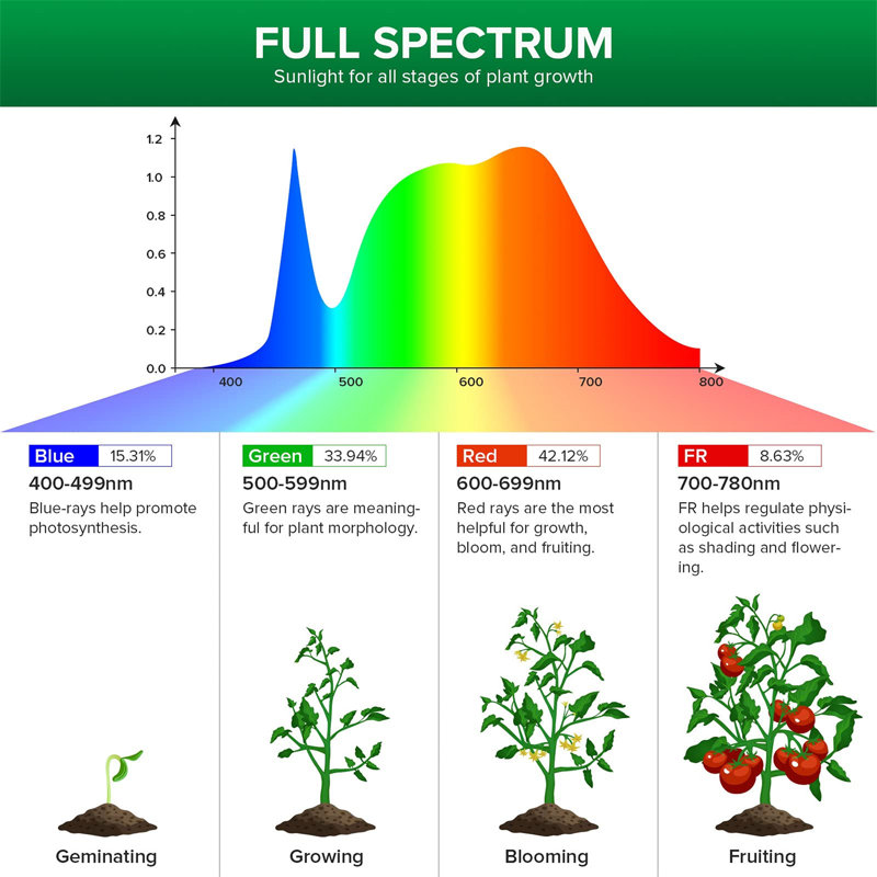 Brayden Studio Grow Light