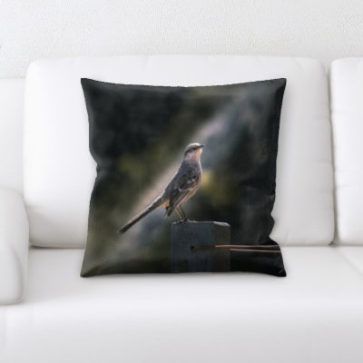 Coussin oiseau