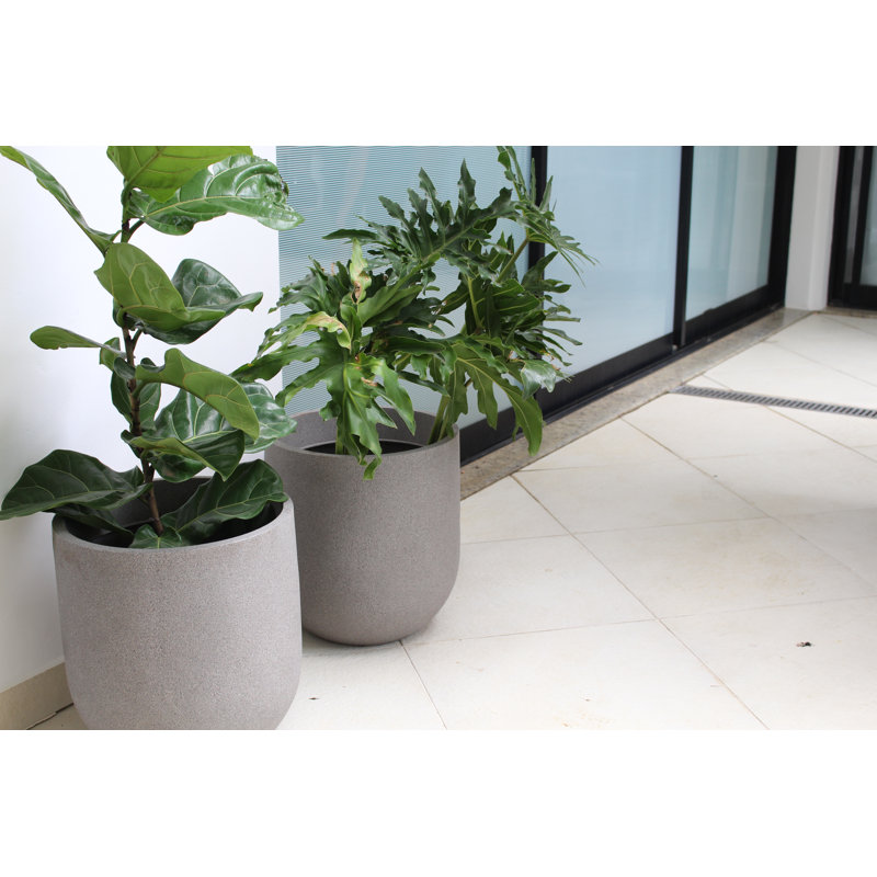 Pot Planter, 18.3" H x 14.5" W x 14.5" D