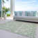 Machine Washable Indoor/Outdoor Chayden ACN1086 Aloe Rug