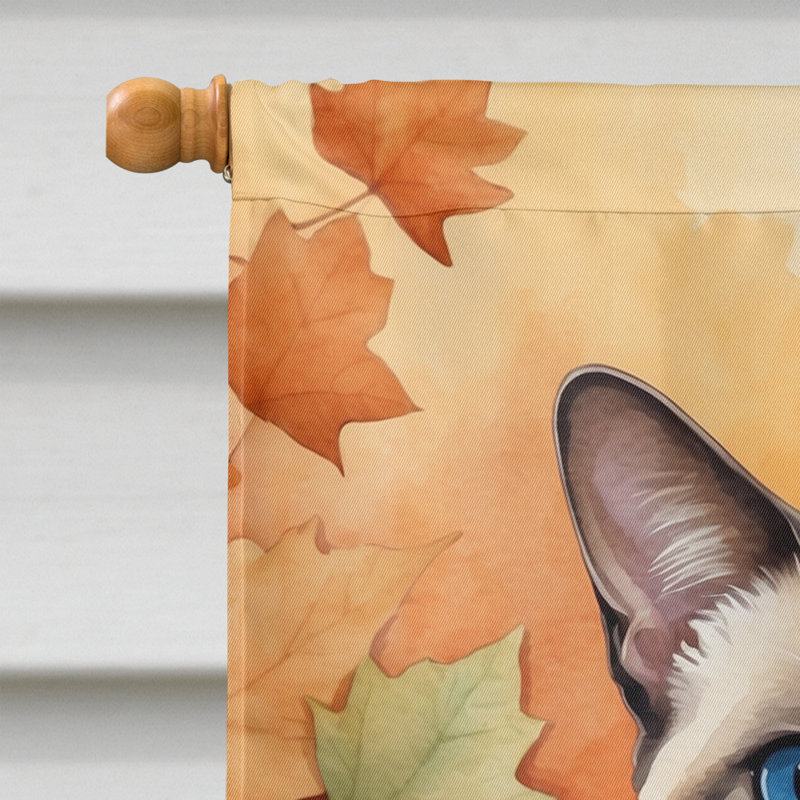 Chat en feuilles d'automne, Colorpoint Shorthair