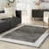 Arriya Oriental Indoor Rug