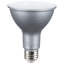 15 Watt Silver Bulb