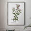 Rose Botanical III, reproduction encadrée - bois massif 47459-1707745679