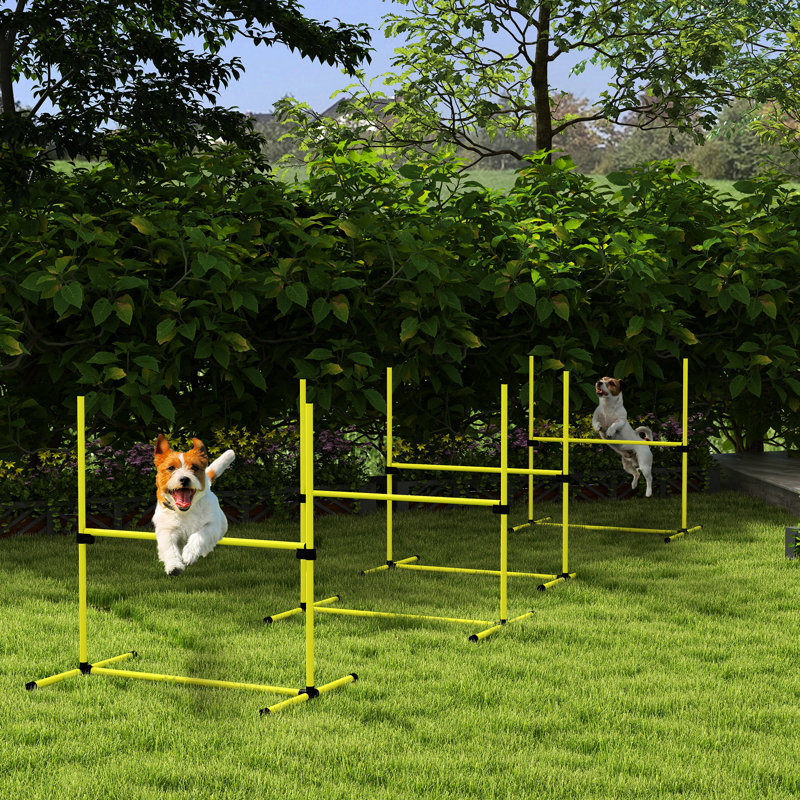 Entraînement d'agilité pour chien avec 4 barres de saut réglables et un contenant de transport portable, jaune et sac de rangement