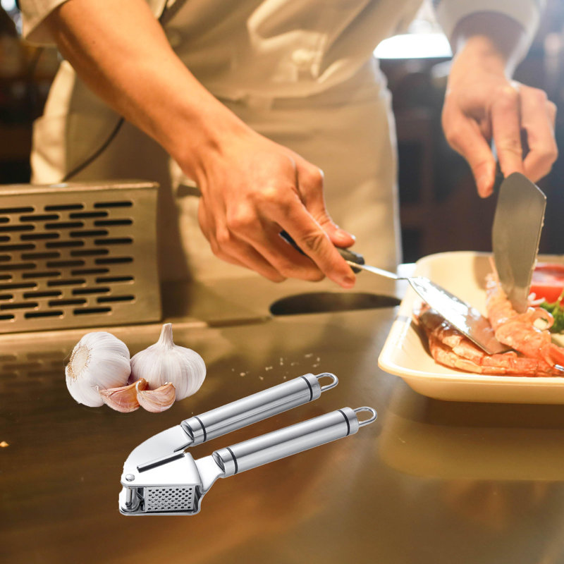 Onewell Stainless Steel Garlic Press