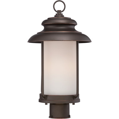 Tindall Lantern Head