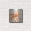 «Promise Rose» par Rebecca Swanson-1433592518