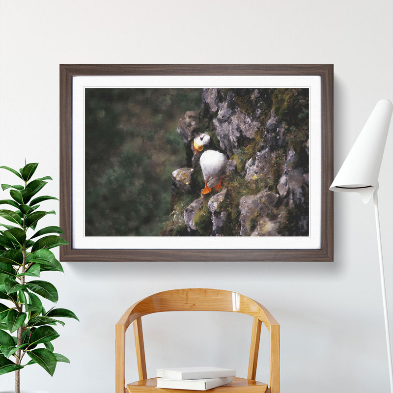 Atlantic Puffin Birds Vol.1 - Picture Frame Painting, 48cm H x 65cm W x 2cm D, Walnut Framed
