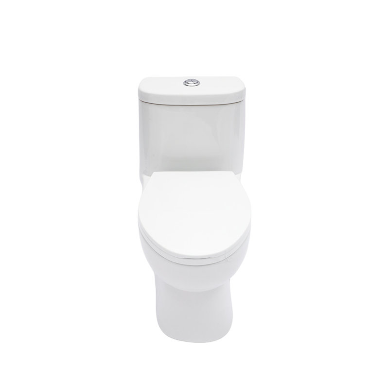 Toilette monobloc en céramique pour salle de bain, 12 po à chasse brute, 1,1 / 1,6 GPF, double chasse avec siège à fermeture en douceur, double chasse puissante CARTE 800G