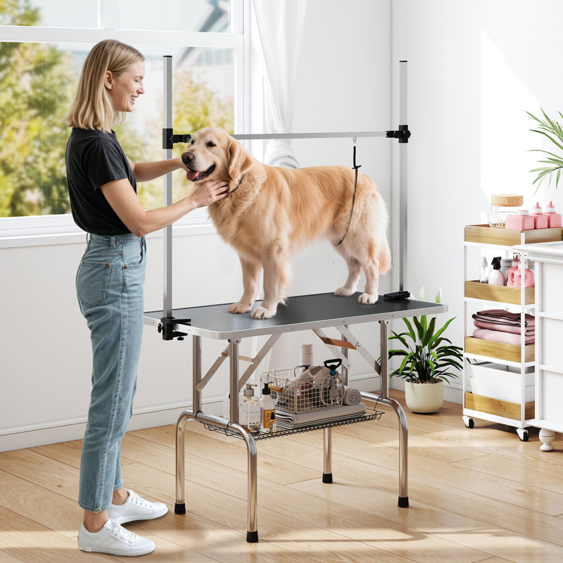 431.8cm H x 271.78cm W x 152.4cm D Metal Adjustable and Foldable Dog Folding Grooming Table, Black