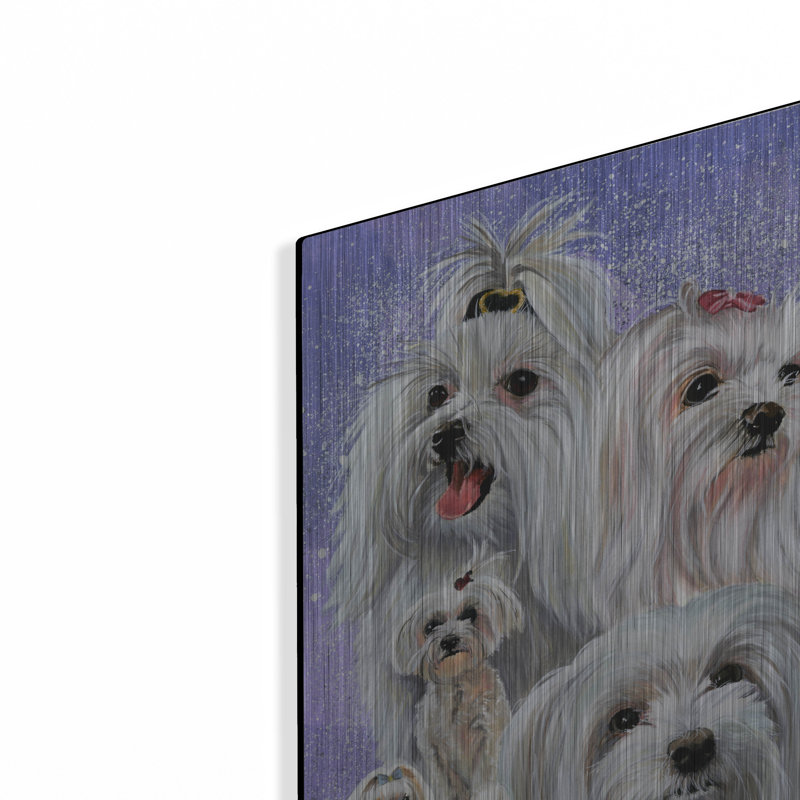 «Maltese 2» par Barbara Keith, H 16 po x l 12 po