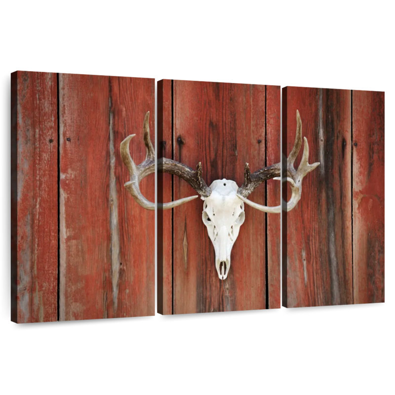 Crâne de cerf Kerner Western, H 14 po x l 23 po