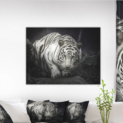 Tigre blanc animal - reproduction de photo