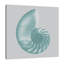 Aquifer Sea Shell - Wrapped Canvas Print-241691210