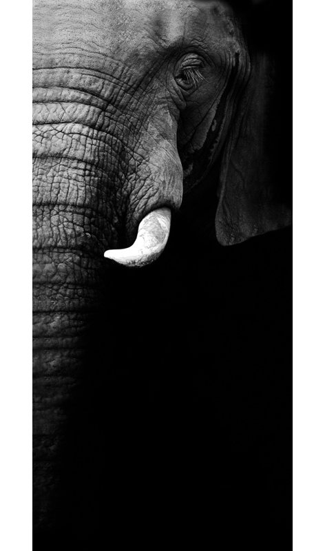 Wrapped Canvas Print, 50.8 cm H x 76.2 cm W