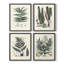 Warm Rays II Framed Print - Set of 4-1456012361-1456012406