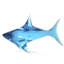 Giant Acrylic Shark