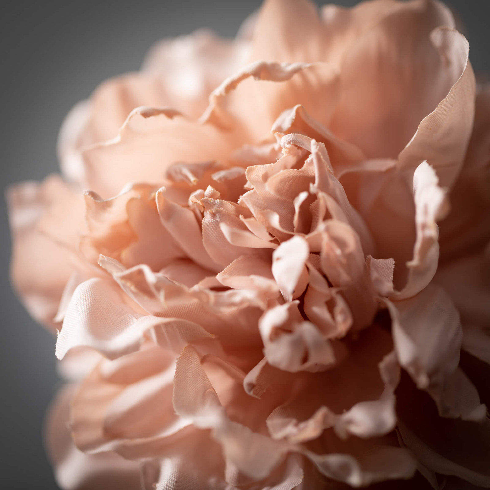 Peony Floral Stems, Mauve