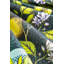 Excelsa table cloth made in italy Boboli woven cotton 180x140 cm multicolor-119036269