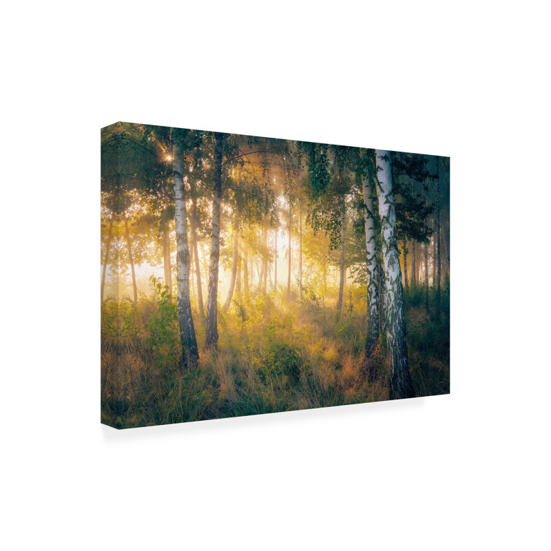 Art sur toile «Pawel kado» dans la forêt, H 12 po x l 19 po