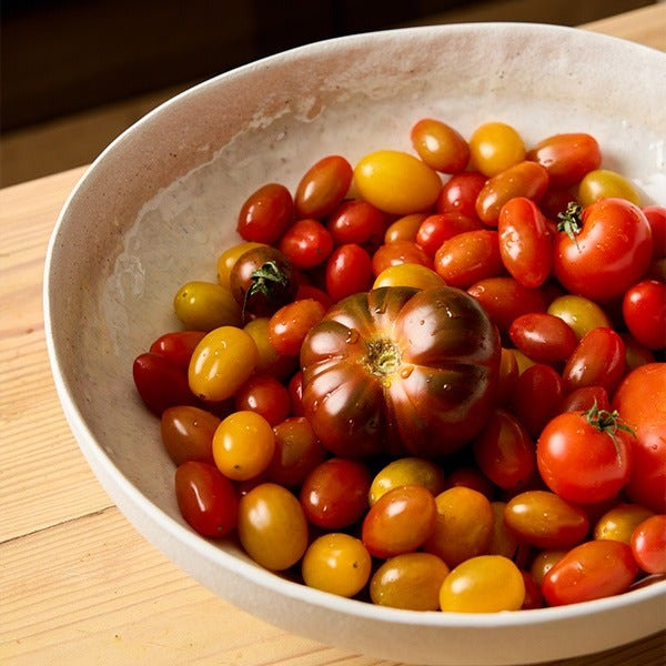Stellar Stoneware Serving Bowl