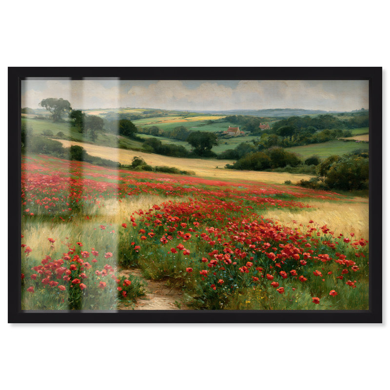 «Rose Field II Shadowbox» par Cabezas, H 17 po x l 25 po, Cadre noir